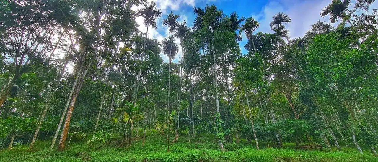 Shambhala Guild Farms gallery image 1