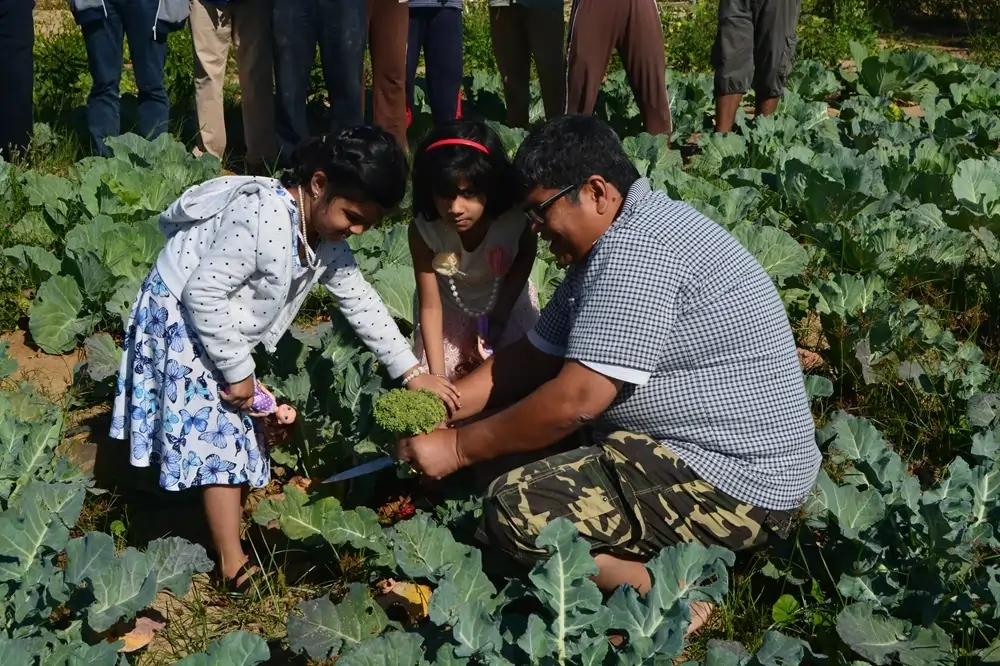 Soul & Soil Community Farm gallery image 1